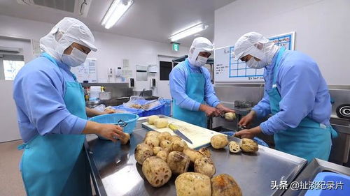 從“食育”到品質(zhì) 探秘日本中小學的營養(yǎng)午餐之旅