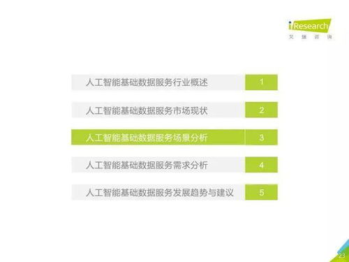 《人工智能基礎數據服務與軟件開發 驅動AI產業的雙引擎——中國人工智能基礎數據服務行業報告》